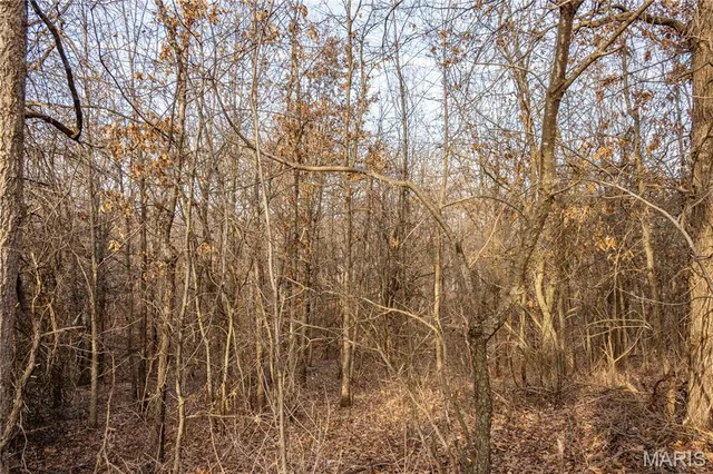 $1 | 0 Elvis Avenue, Knox City, MO 63446