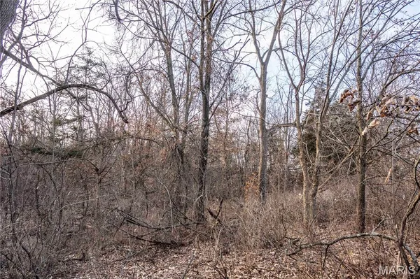 $1 | 0 Elvis Avenue, Knox City, MO 63446