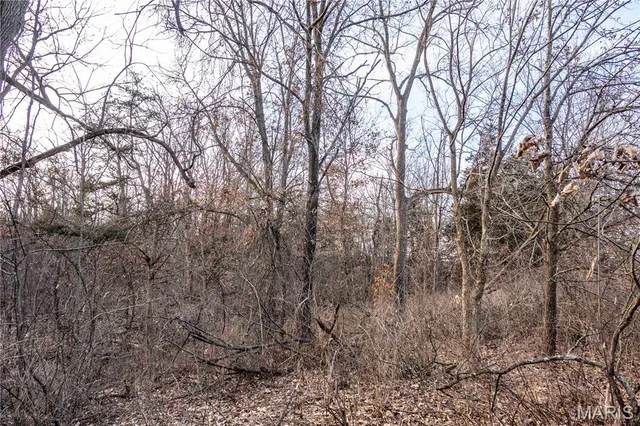 $1 | 0 Elvis Avenue, Knox City, MO 63446