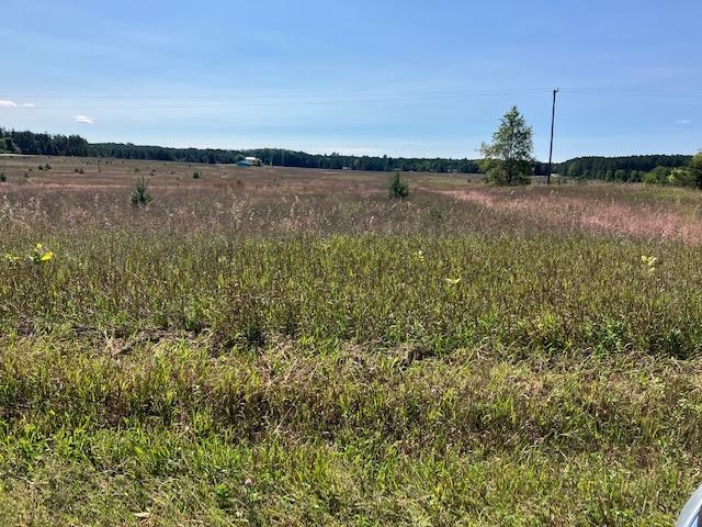 I Bowerman Road Kingsley, MI 49649 - Photo 7 of 10