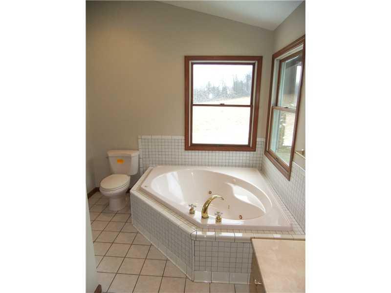 529 Leeper Road Georgetown, PA 15043 - Photo 14 of 19 Master Bath/Spa.