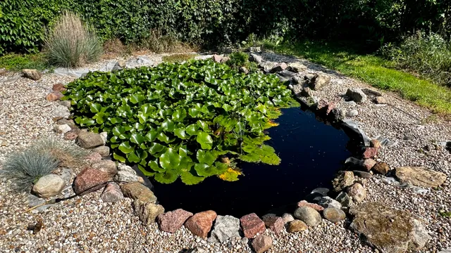 $99,000 | 406 South Genesee Street, Morrison, IL 61270