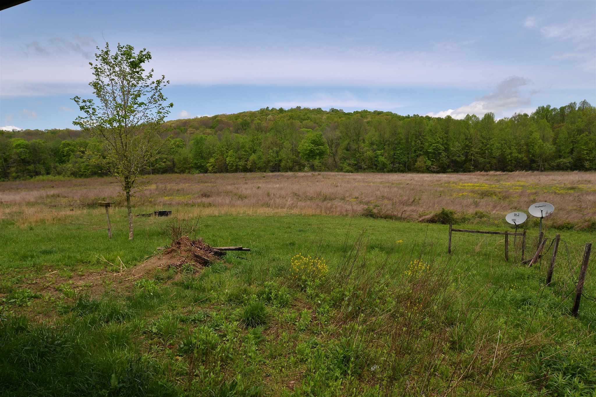 5450 West Popcorn Road Springville, IN 47462 - Photo 2 of 13