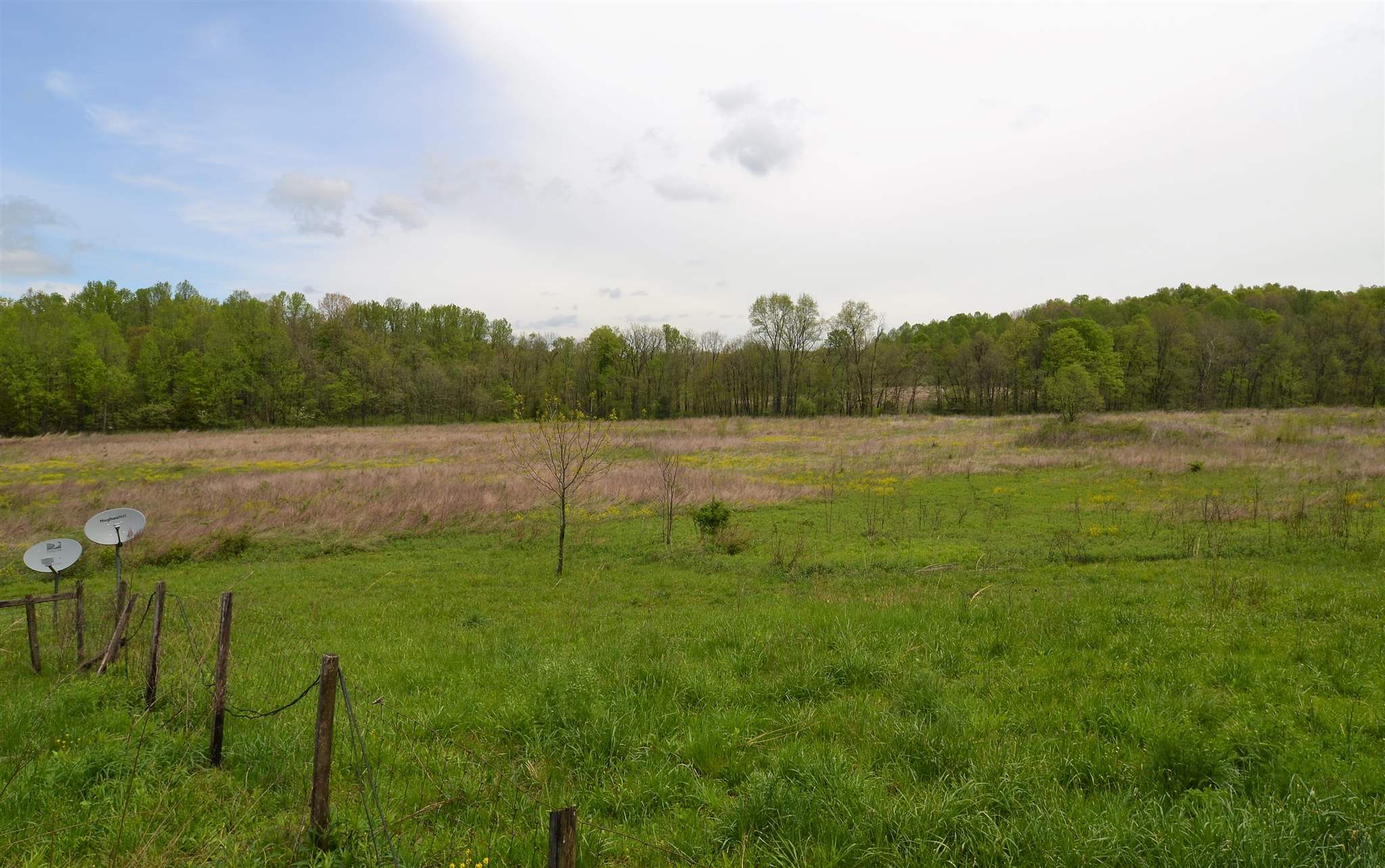 5450 West Popcorn Road Springville, IN 47462 - Photo 3 of 13