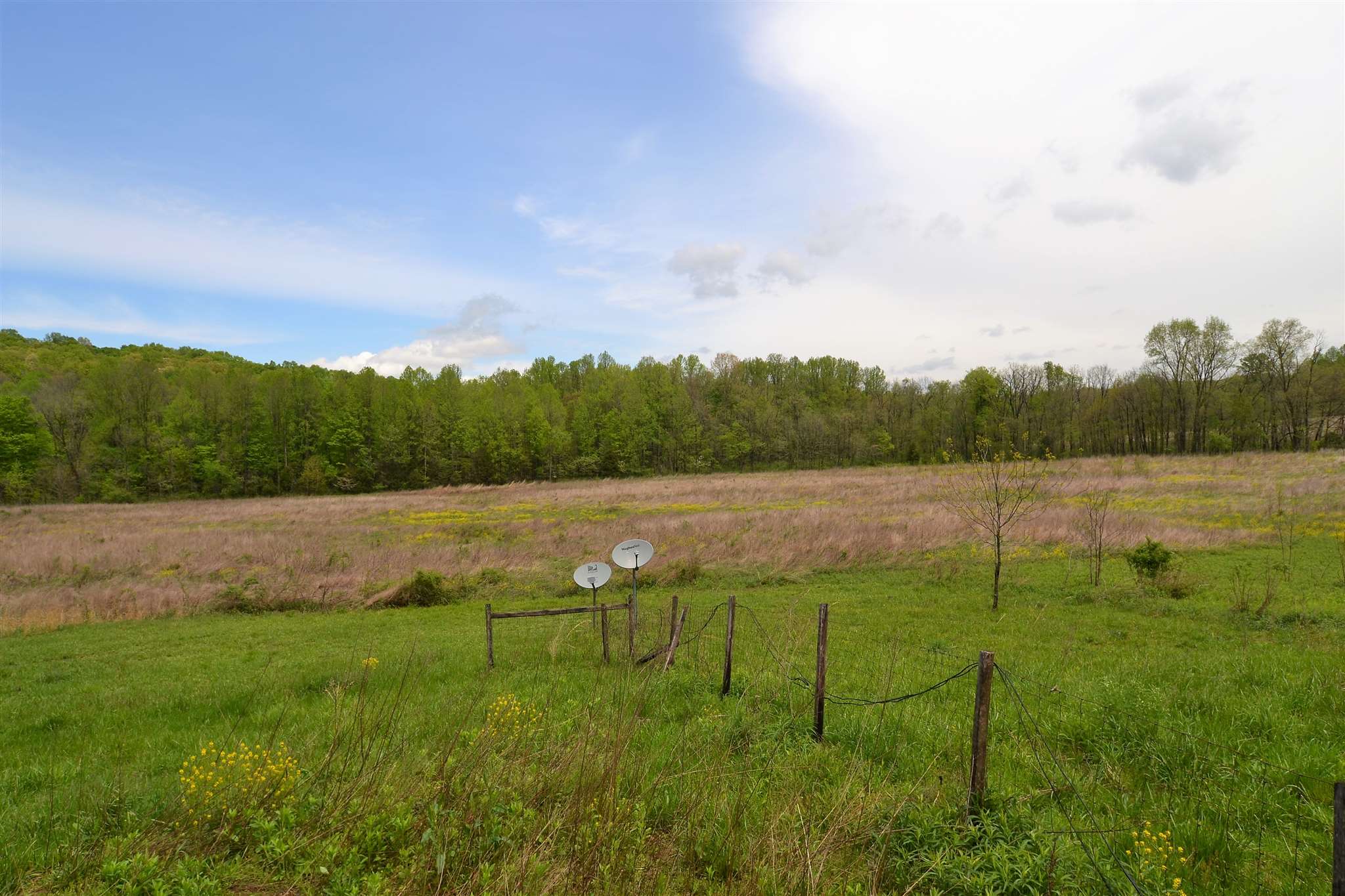 5450 West Popcorn Road Springville, IN 47462 - Photo 4 of 13
