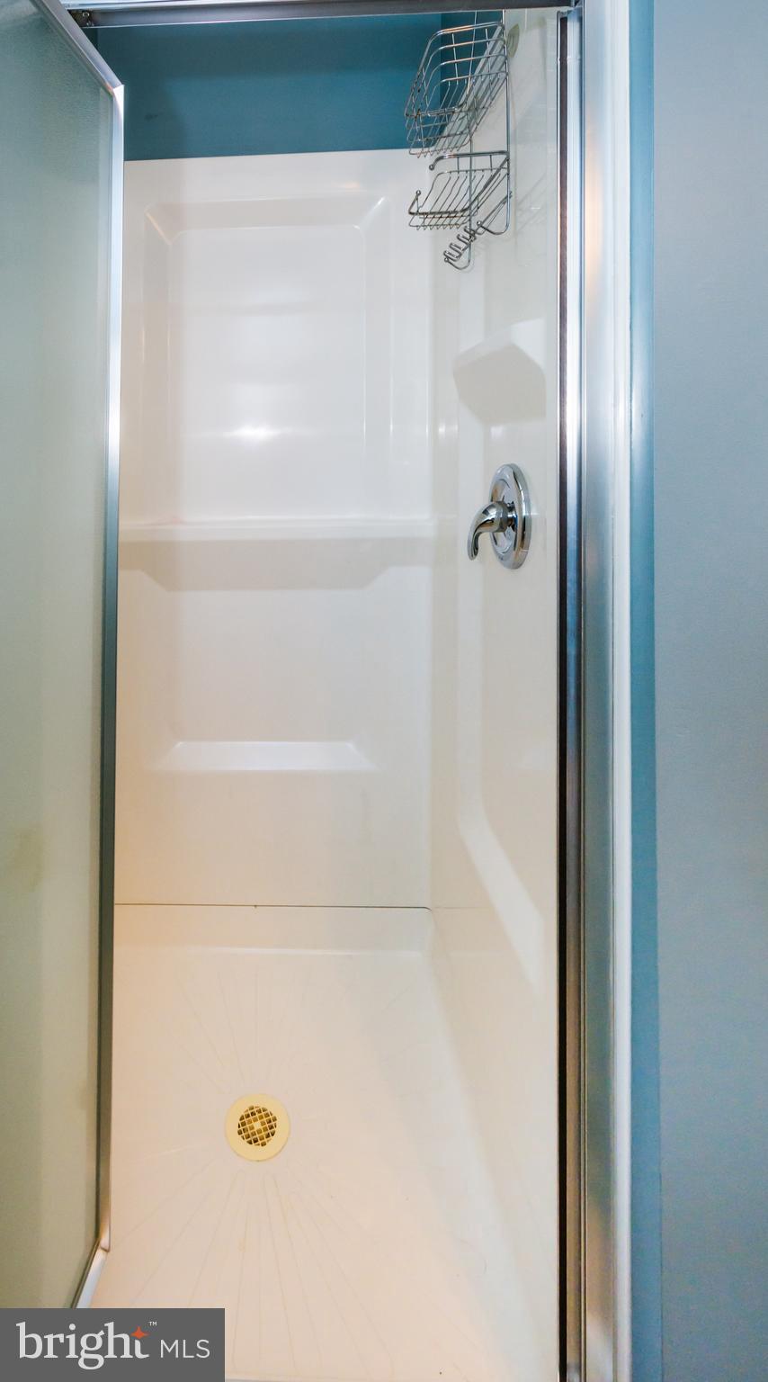 1422 Riverside Avenue Baltimore, MD 21230 - Photo 15 of 33 Easy access shower