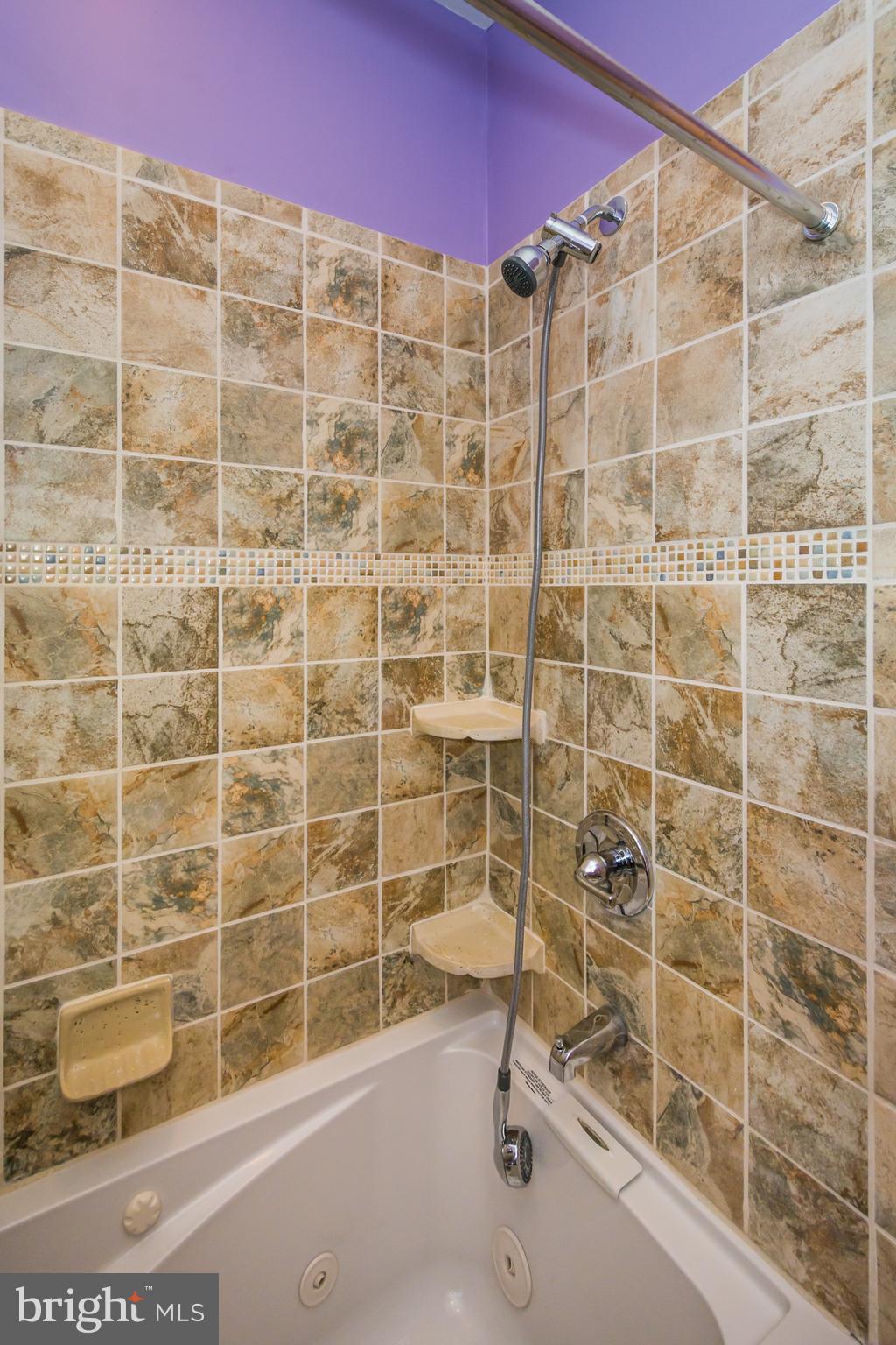 1422 Riverside Avenue Baltimore, MD 21230 - Photo 25 of 33 full bath with relaxing jet tub