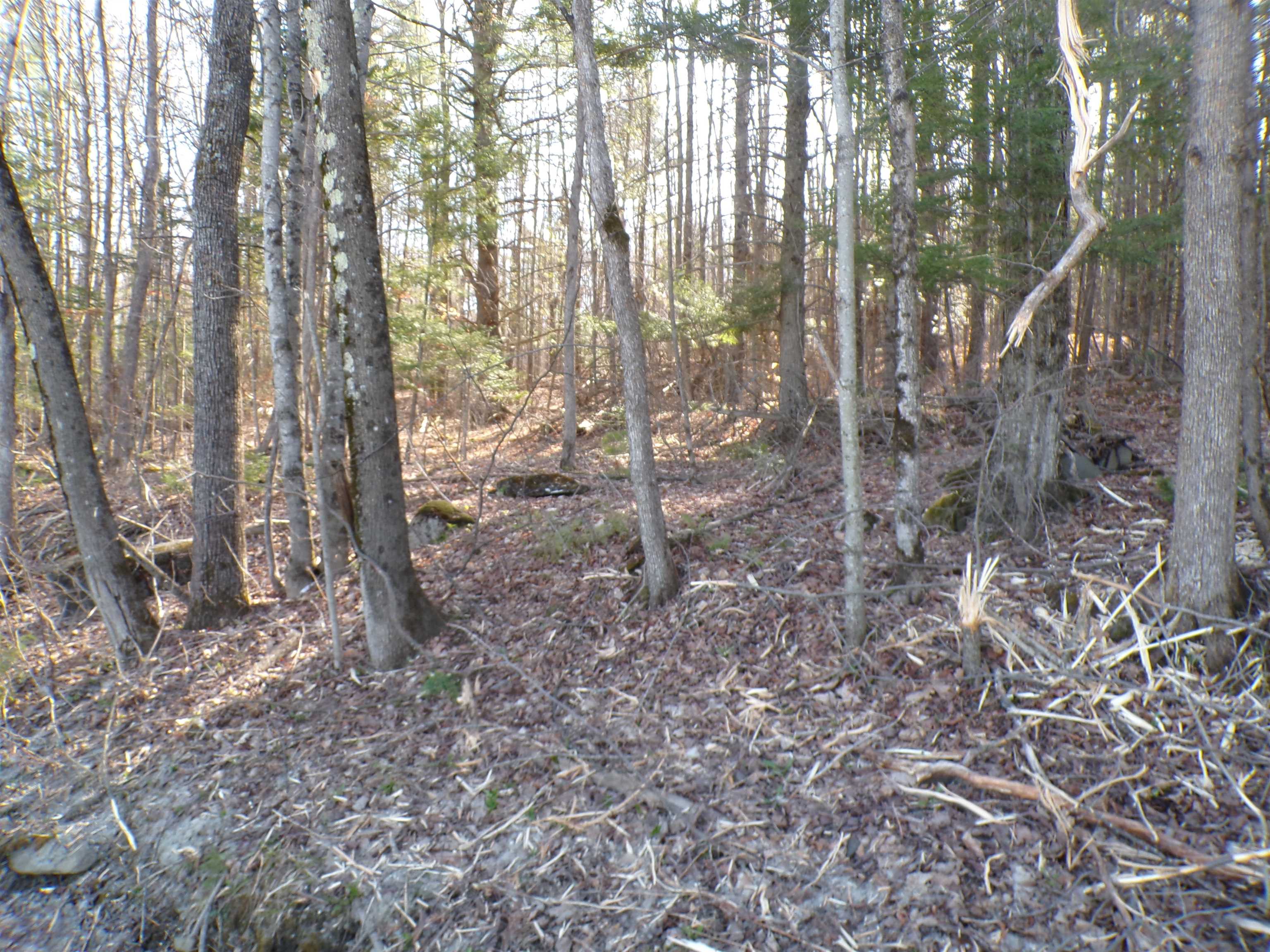 440 Baird Road Barton, VT 05822 - Photo 6 of 11