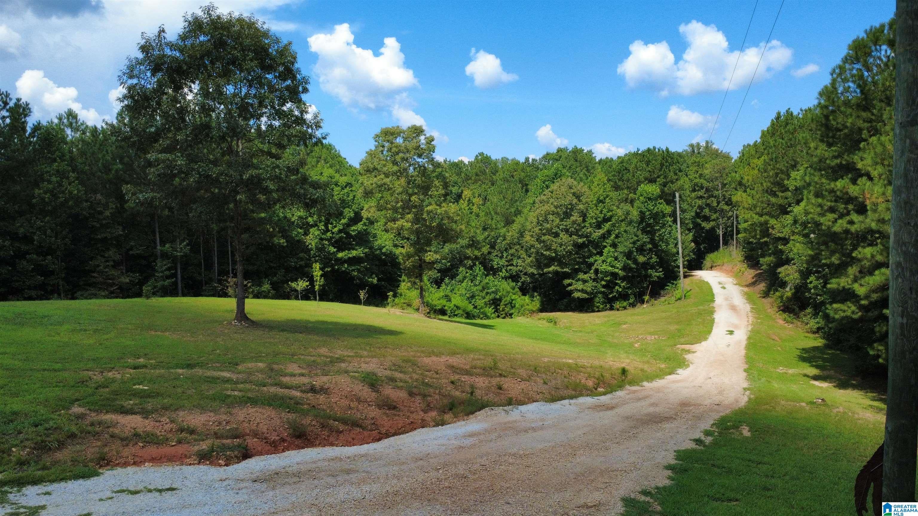 515 County Road 129 Ranburne, AL 36273 - Photo 40 of 44 Gallery Image 40