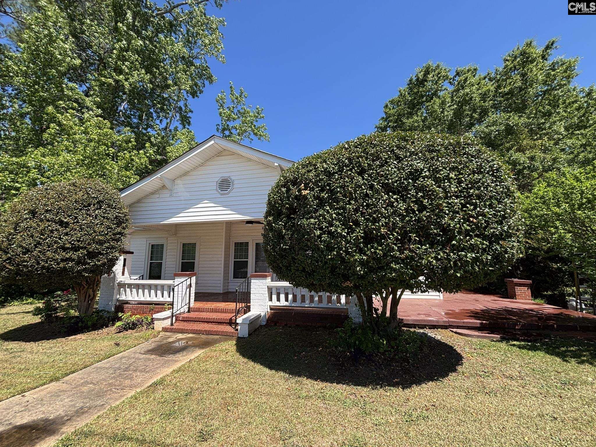 161 Columbia Avenue Chapin, SC 29036 - Photo 21 of 21