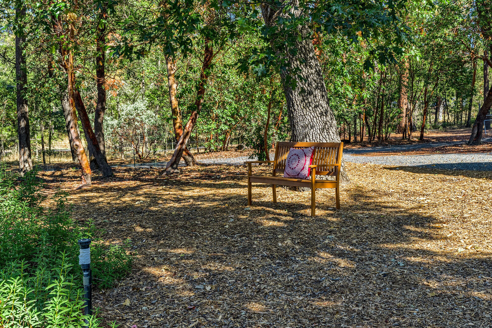1011 Upper Applegate Road Jacksonville, OR 97530 - Photo 38 of 49 a bench sitting in the middle of a yard