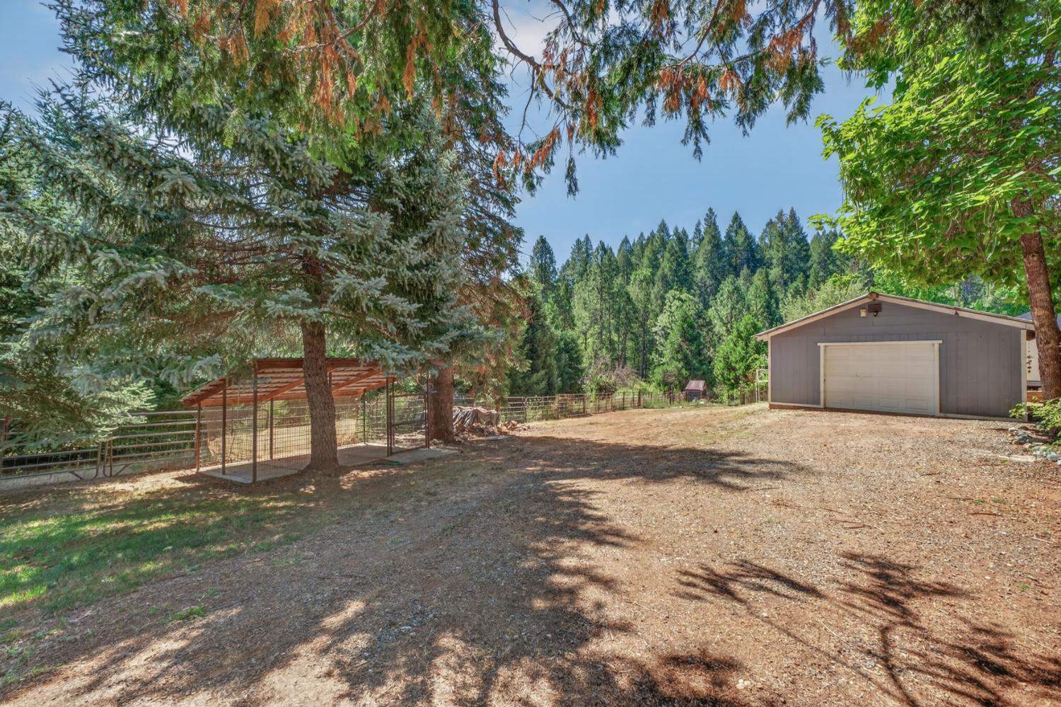 9882 La Porte Road Challenge, CA 95925 - Photo 35 of 56 Gallery Image 35