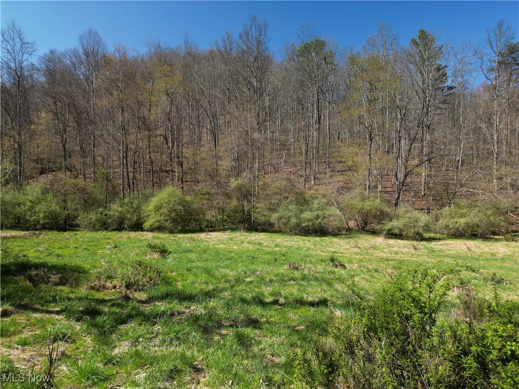 Rush Run Road Arnoldsburg, WV 25234 - Photo 6 of 11 Gallery Image 6