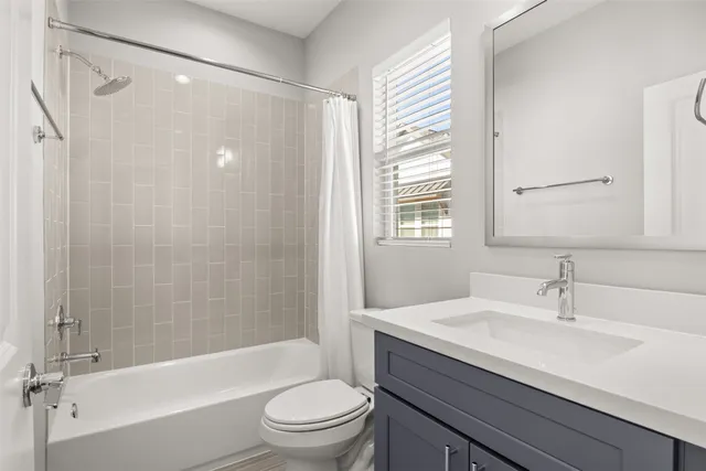 a bathroom with a sink a toilet and a bathtub