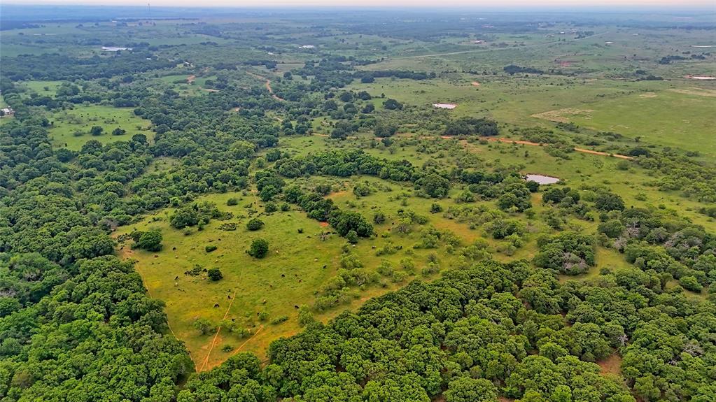 Tbd Tbd Cardwell Road Nocona, TX 76255 - Photo 22 of 30