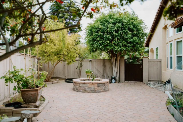 a view of a backyard with potted plants and a large tree