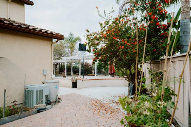 a view of a street with potted plants and large trees