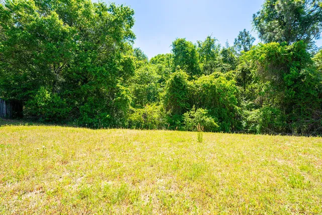a view of an outdoor space and a yard
