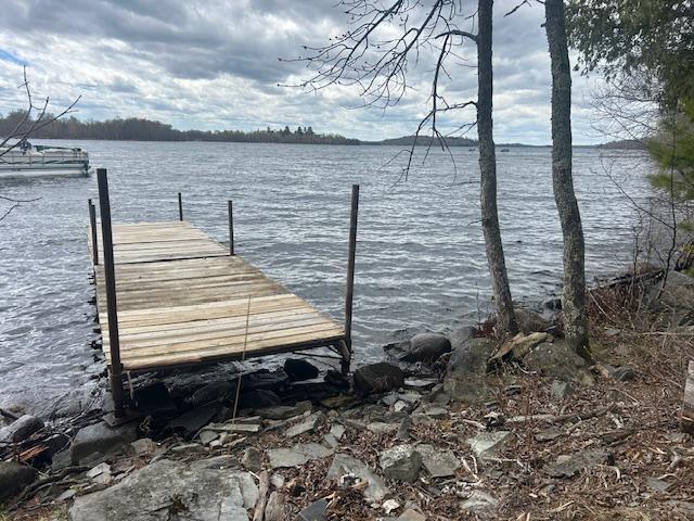 95642 Pine Island Tower, MN 55790 - Photo 11 of 14