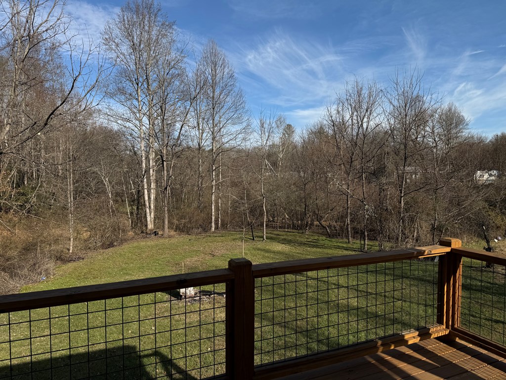 157 Old Loving Road Mineral Bluff, GA 30559 - Photo 10 of 10 a view of a tennis court