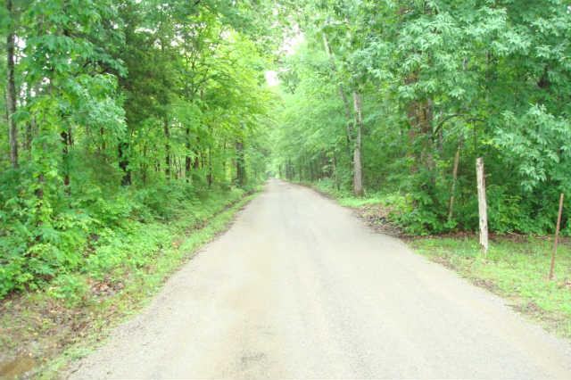 1430 Moss Road Chapel Hill, TN 37034 - Photo 6 of 14 Street view of Moss Road with drive way on left