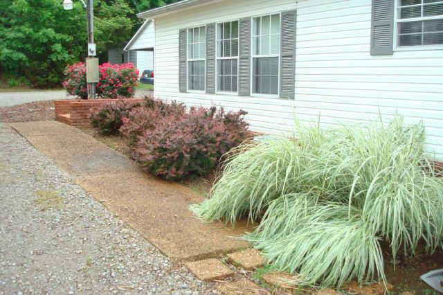 1430 Moss Road Chapel Hill, TN 37034 - Photo 7 of 14 Mature landscaping