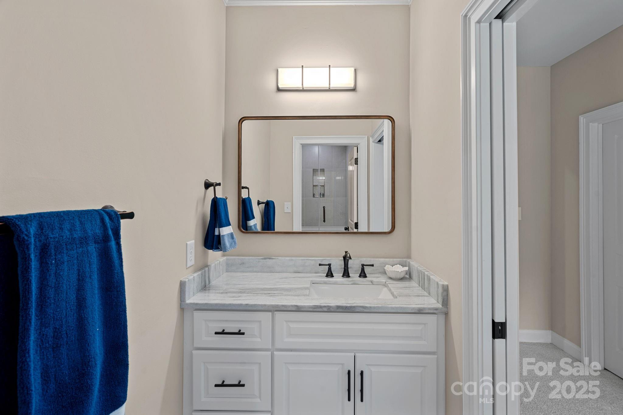 19501 River Falls Drive Davidson, NC 28036 - Photo 24 of 47 a bathroom with a double vanity sink and a mirror