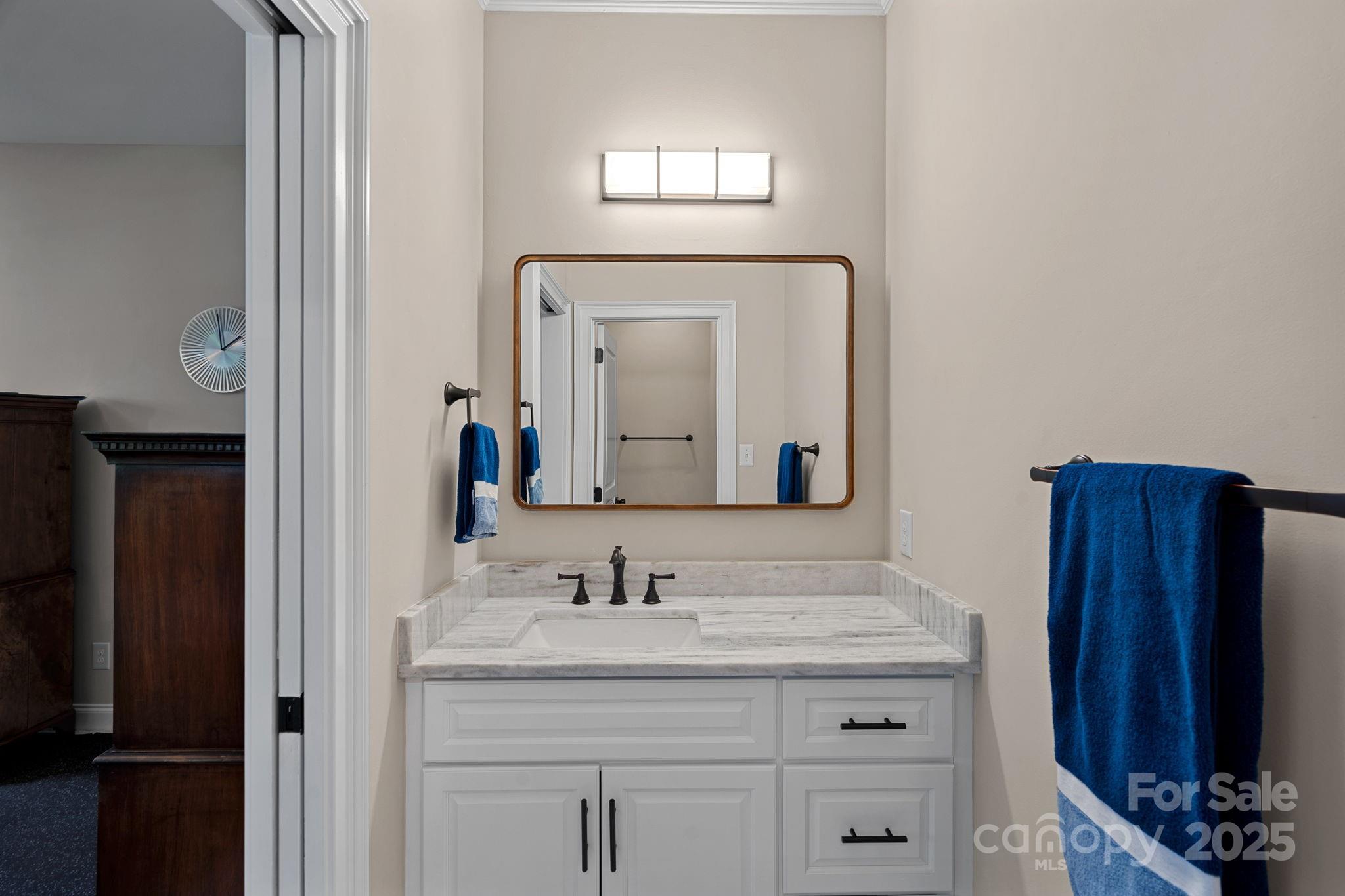 19501 River Falls Drive Davidson, NC 28036 - Photo 26 of 47 a bathroom with a sink vanity and a mirror