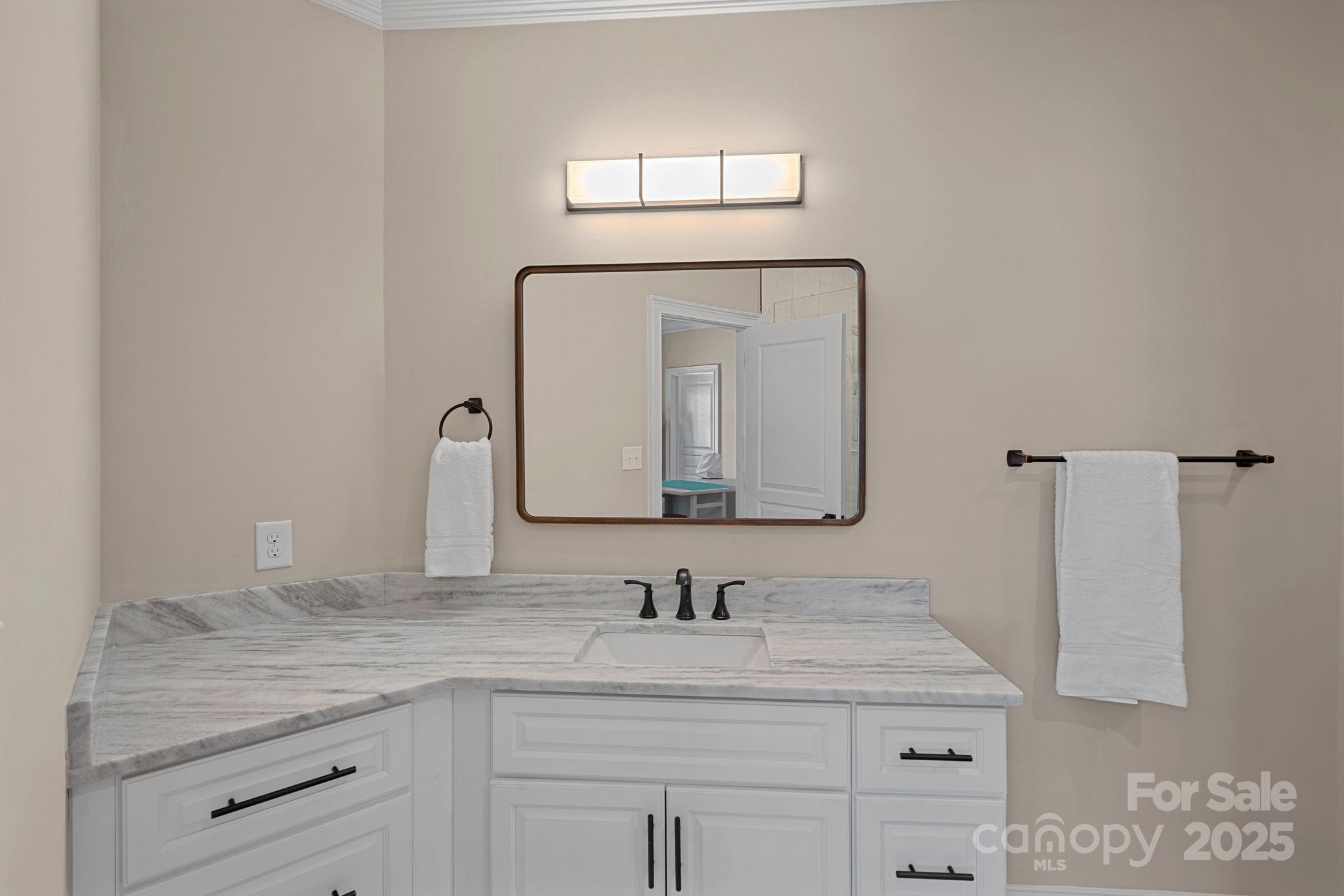 19501 River Falls Drive Davidson, NC 28036 - Photo 32 of 47 a bathroom with a granite countertop sink a mirror and a