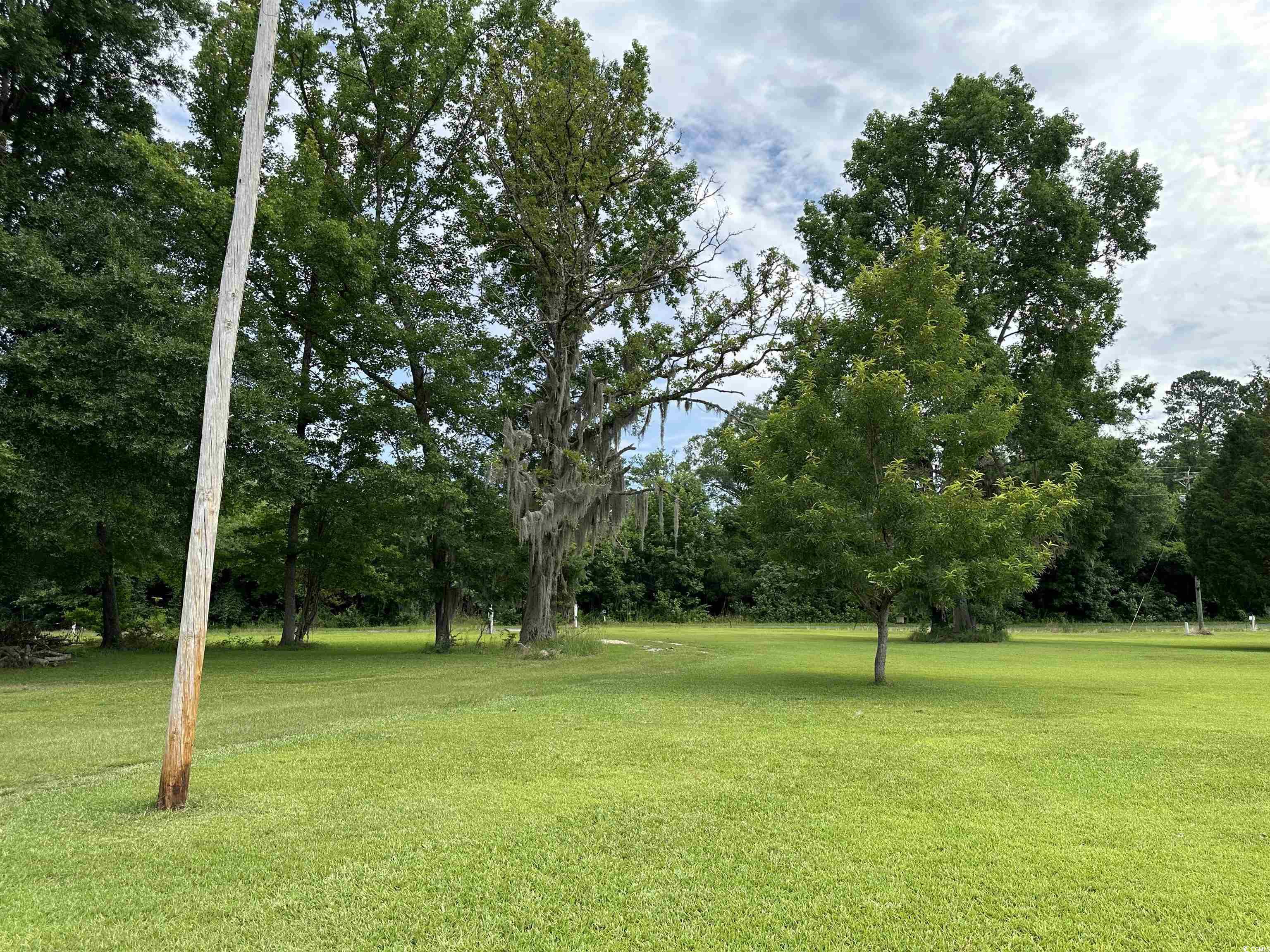 1193 Spamm Road Greeleyville, SC 29056 - Photo 21 of 32 Gallery Image 21