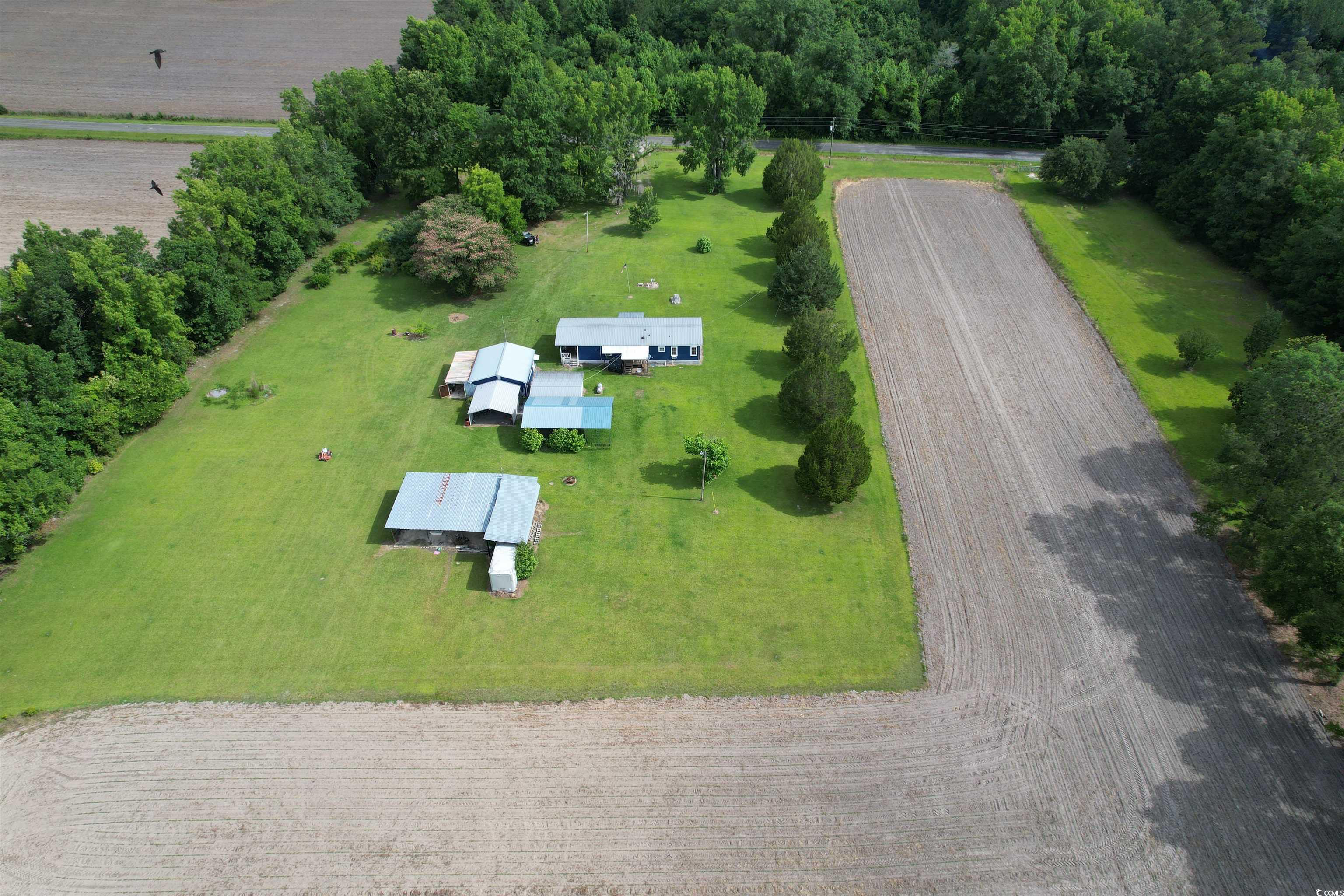 1193 Spamm Road Greeleyville, SC 29056 - Photo 23 of 32 Gallery Image 23