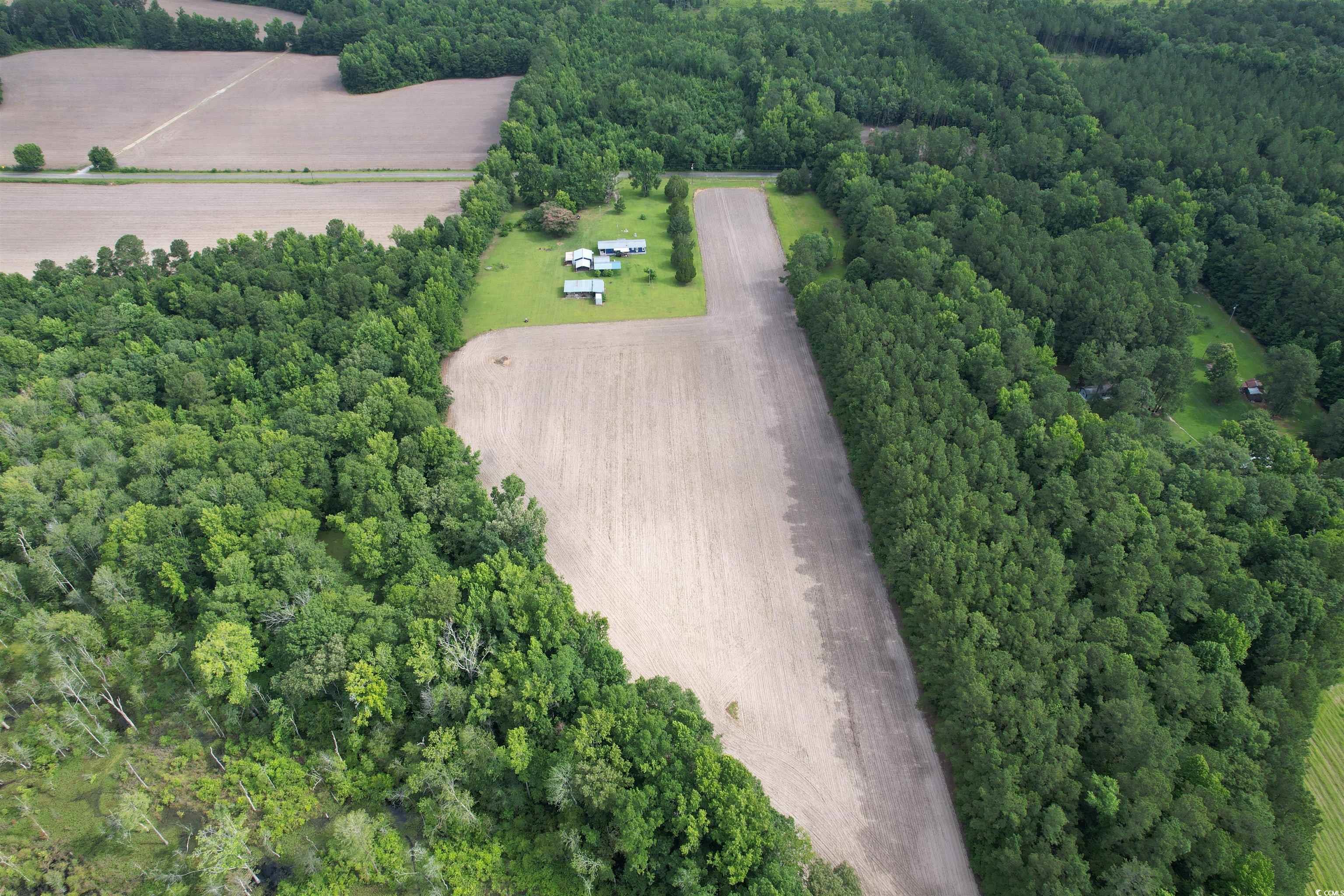 1193 Spamm Road Greeleyville, SC 29056 - Photo 24 of 32 Gallery Image 24