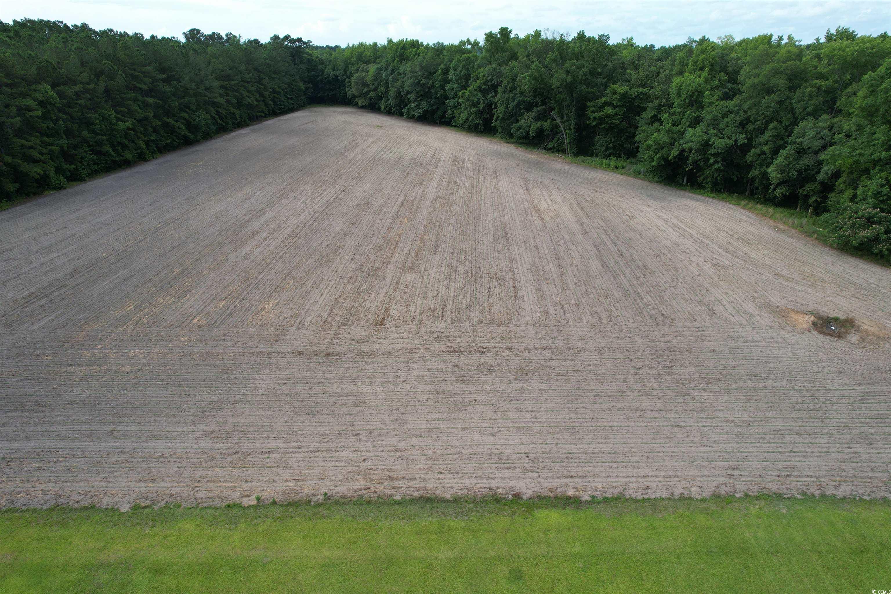 1193 Spamm Road Greeleyville, SC 29056 - Photo 25 of 32 Gallery Image 25