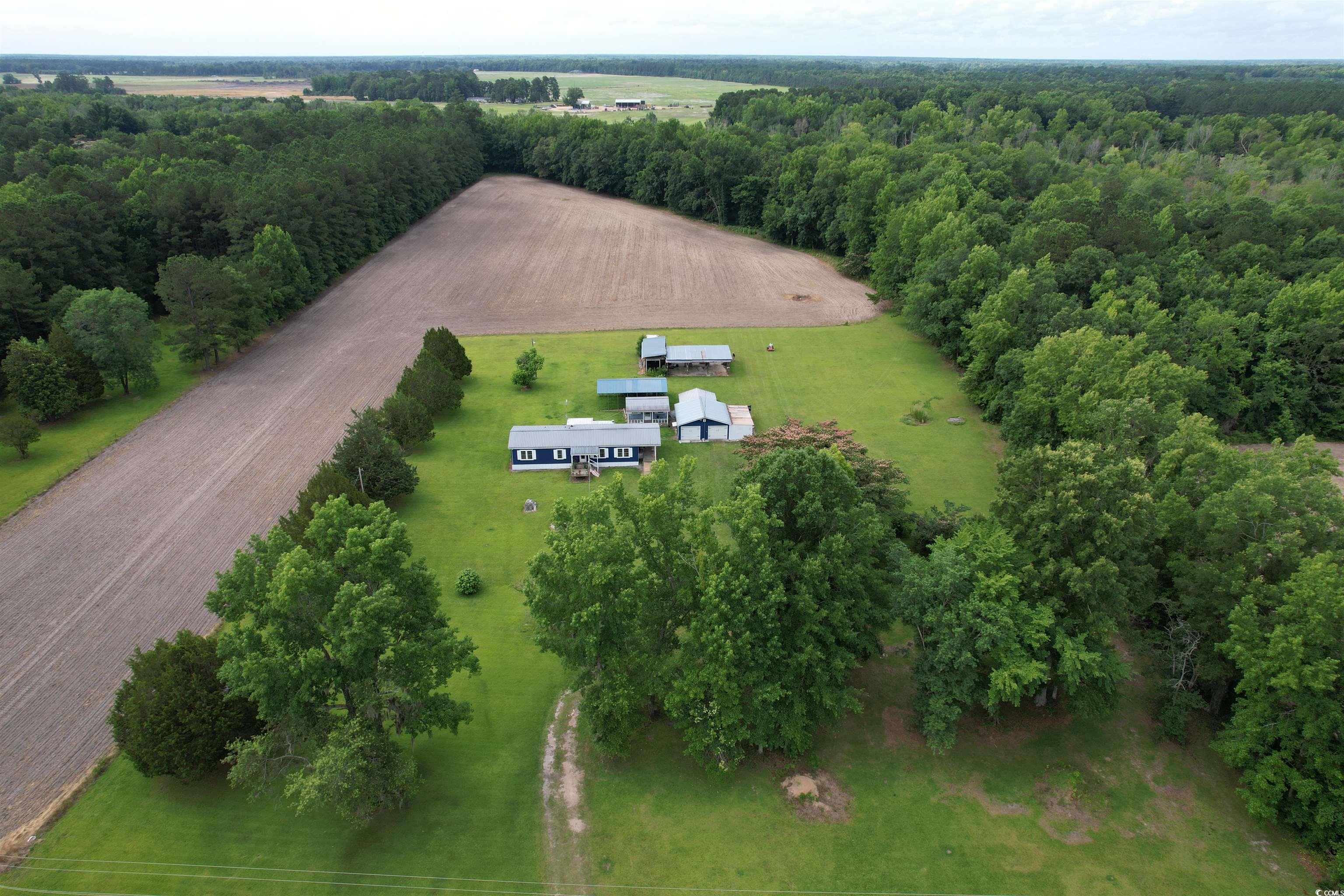 1193 Spamm Road Greeleyville, SC 29056 - Photo 27 of 32 Gallery Image 27