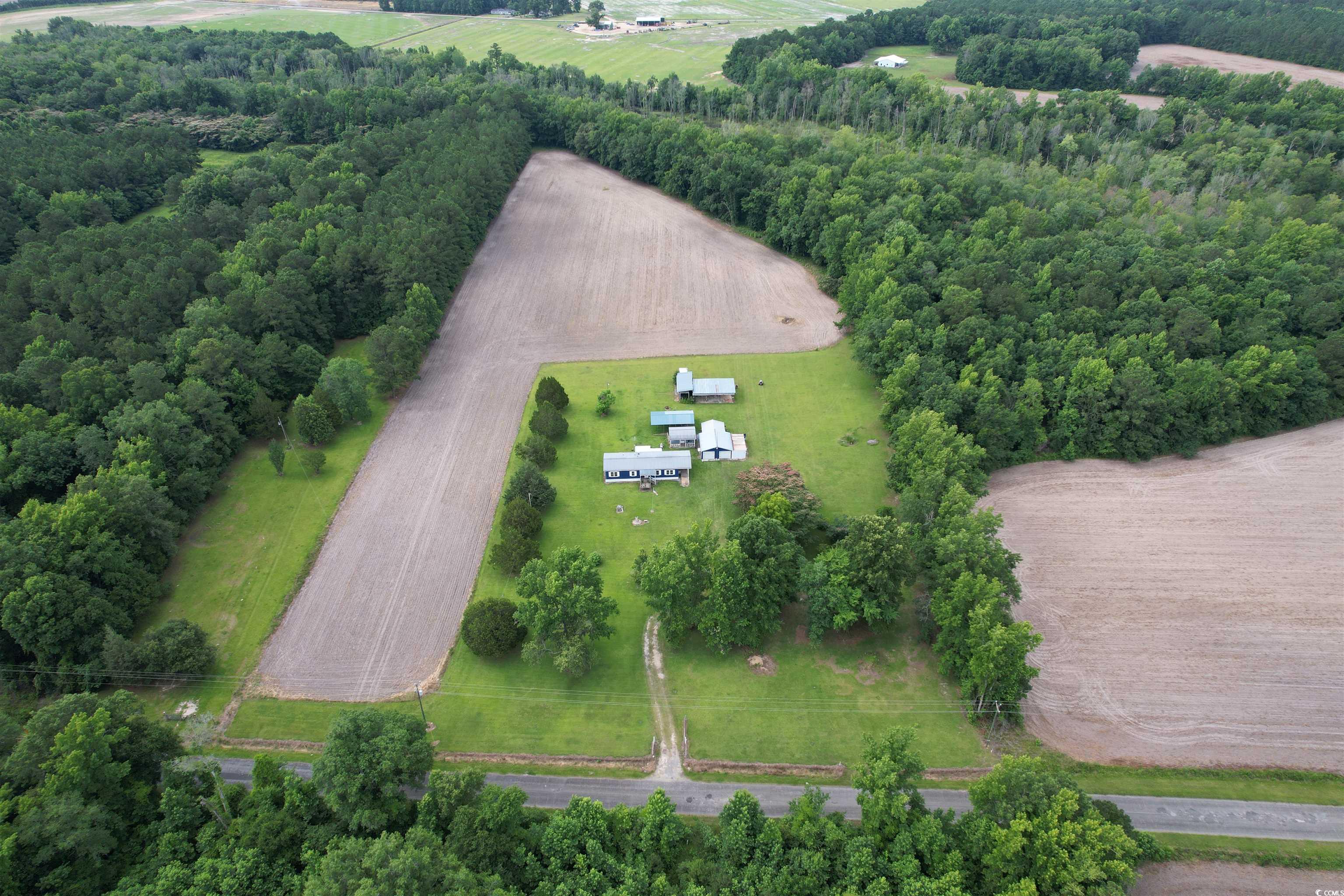 1193 Spamm Road Greeleyville, SC 29056 - Photo 28 of 32 Gallery Image 28