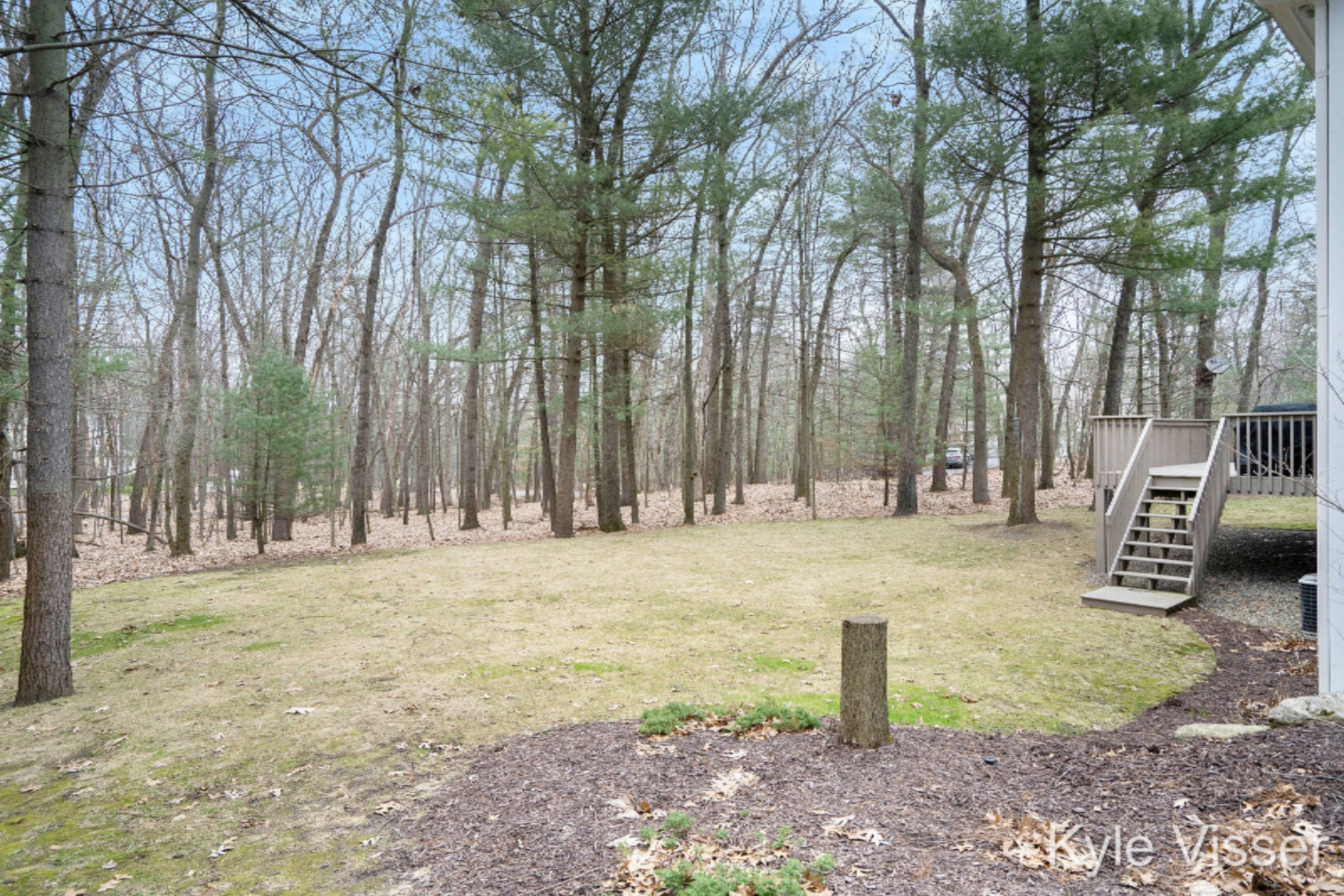 1963 Timber Ridge Drive Southeast Ada, MI 49301 - Photo 36 of 40 Backyard