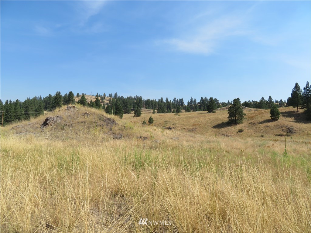 -tbd Herron Creek Road Republic, WA 99166 - Photo 2 of 11