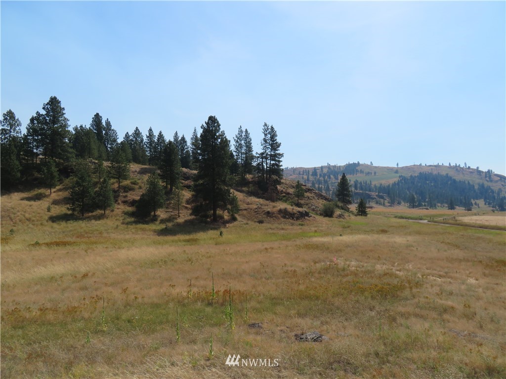 -tbd Herron Creek Road Republic, WA 99166 - Photo 11 of 11
