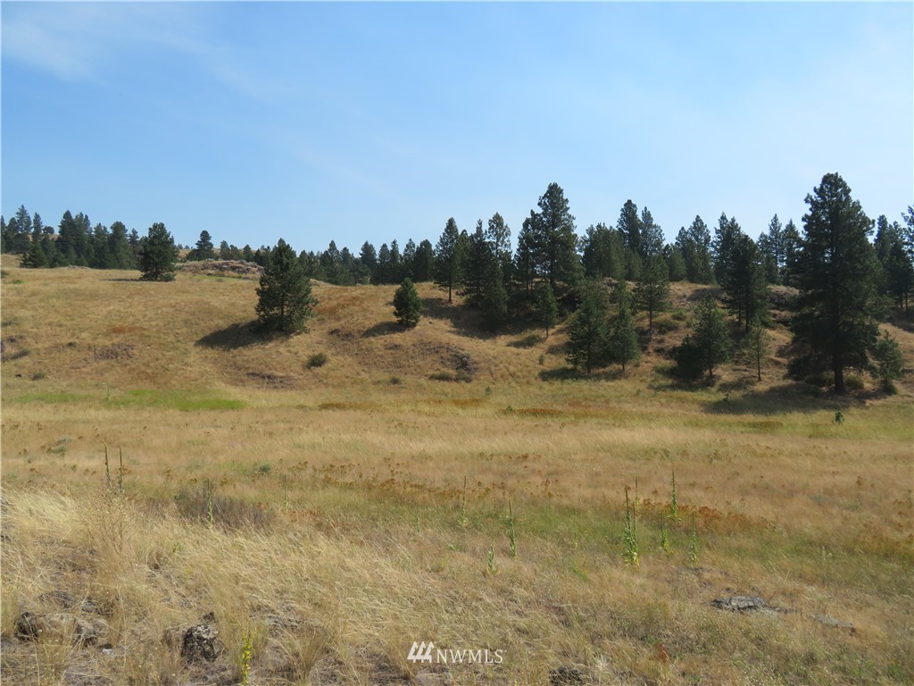 -tbd Herron Creek Road Republic, WA 99166 - Photo 3 of 11