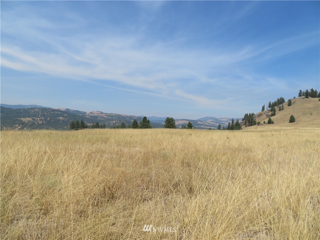 -tbd Herron Creek Road Republic, WA 99166 - Photo 5 of 11