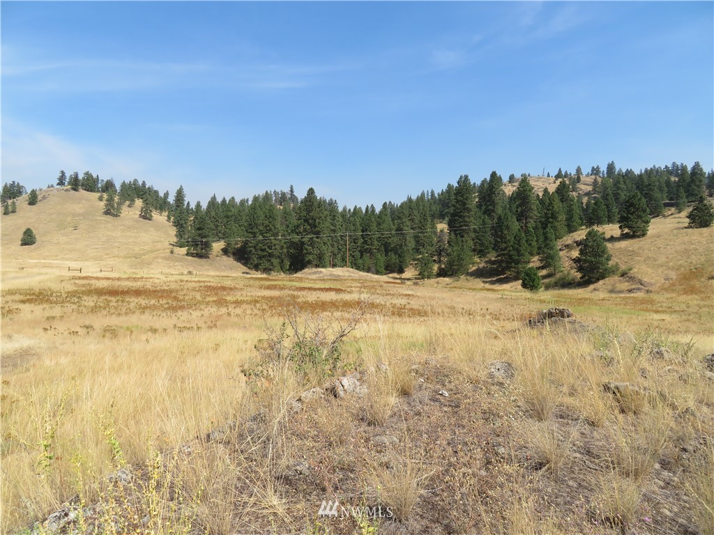-tbd Herron Creek Road Republic, WA 99166 - Photo 6 of 11