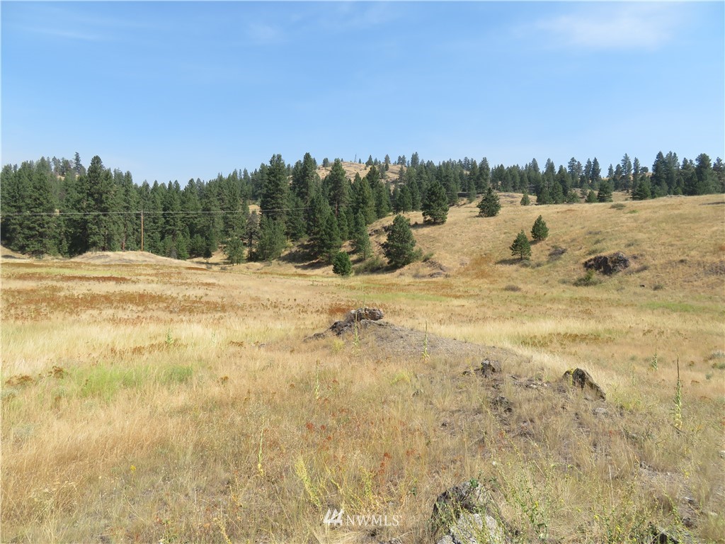 -tbd Herron Creek Road Republic, WA 99166 - Photo 7 of 11