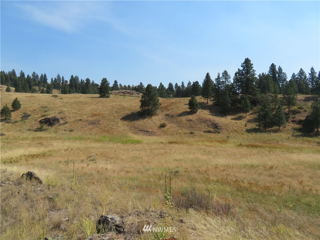 -tbd Herron Creek Road Republic, WA 99166 - Photo 8 of 11
