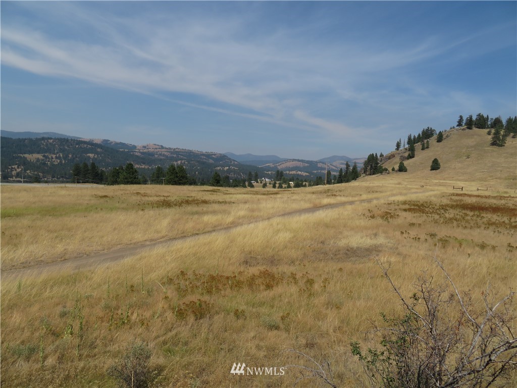 -tbd Herron Creek Road Republic, WA 99166 - Photo 9 of 11