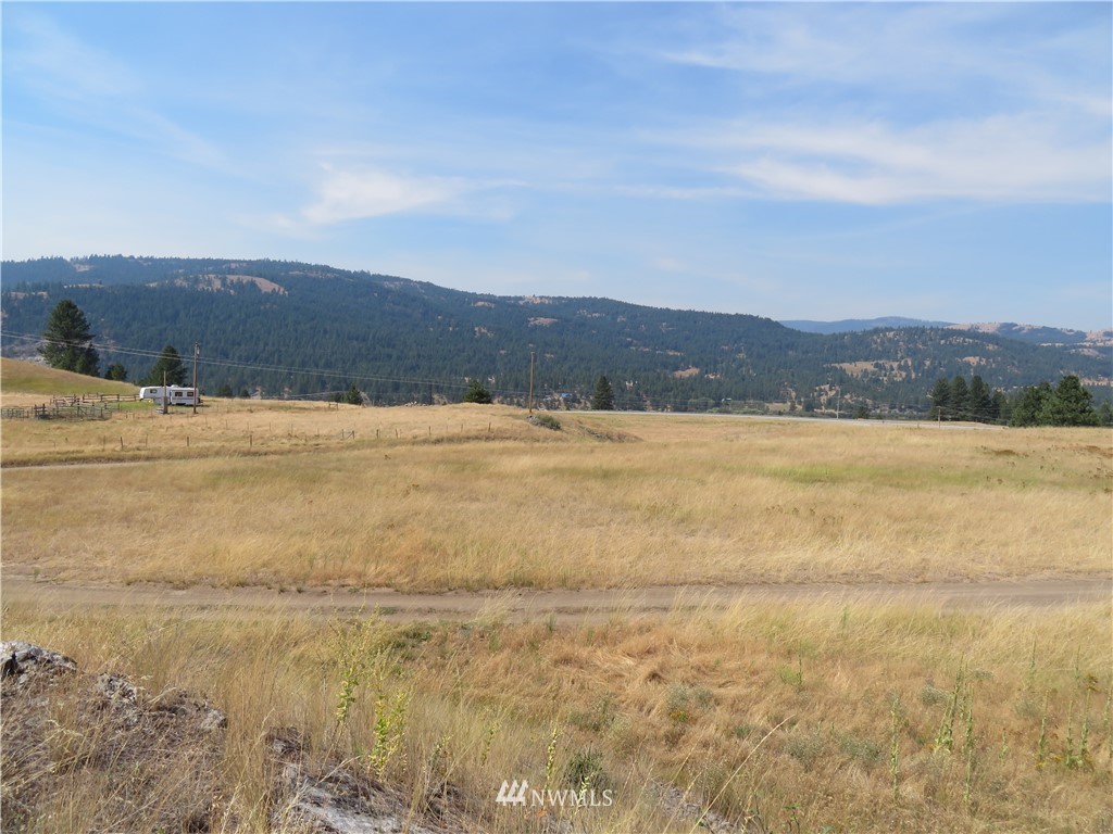 -tbd Herron Creek Road Republic, WA 99166 - Photo 10 of 11