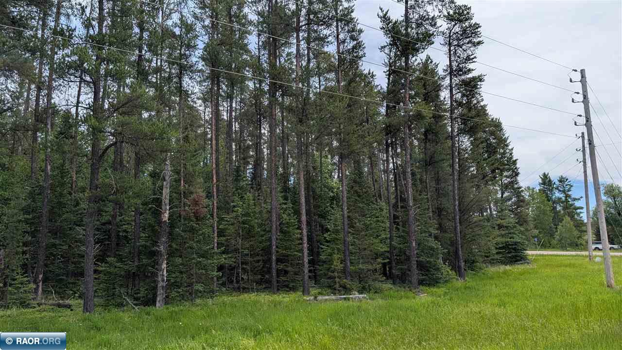 Tbd Tbd Vermilion Trail Aurora, MN 55705 - Photo 2 of 6
