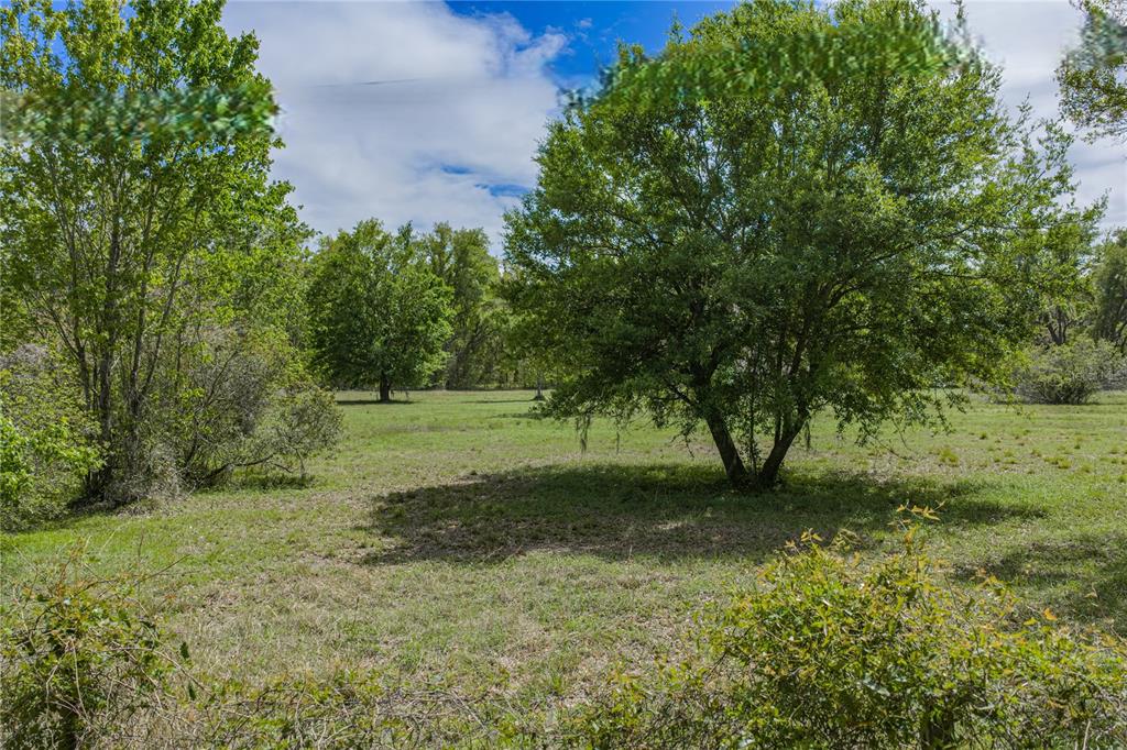 0 Clayton Road Kathleen, FL 33849 - Photo 29 of 41 a view of a tree in a yard