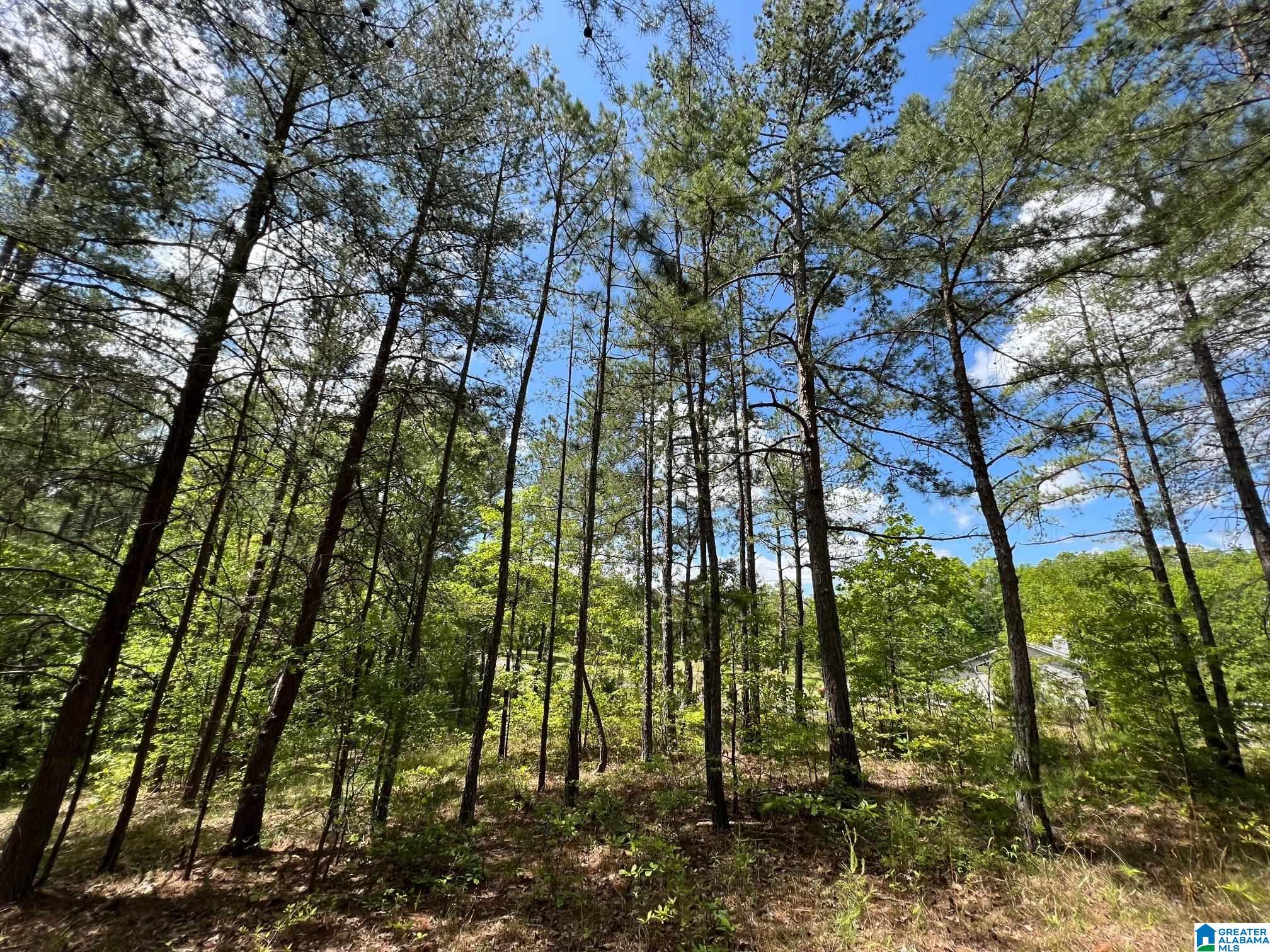 Blue Ridge Drive, Unit 1 Talladega, AL 35160 - Photo 13 of 16