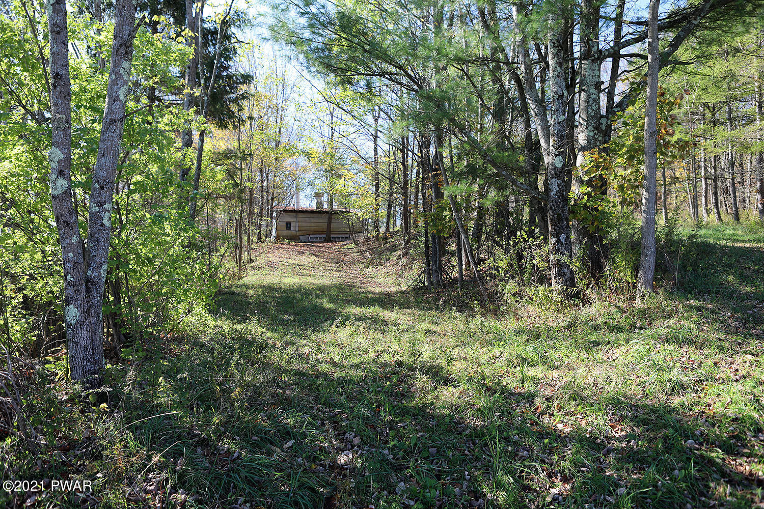 63 Arnolds Road Equinunk, PA 18417 - Photo 28 of 34 Back yard trail