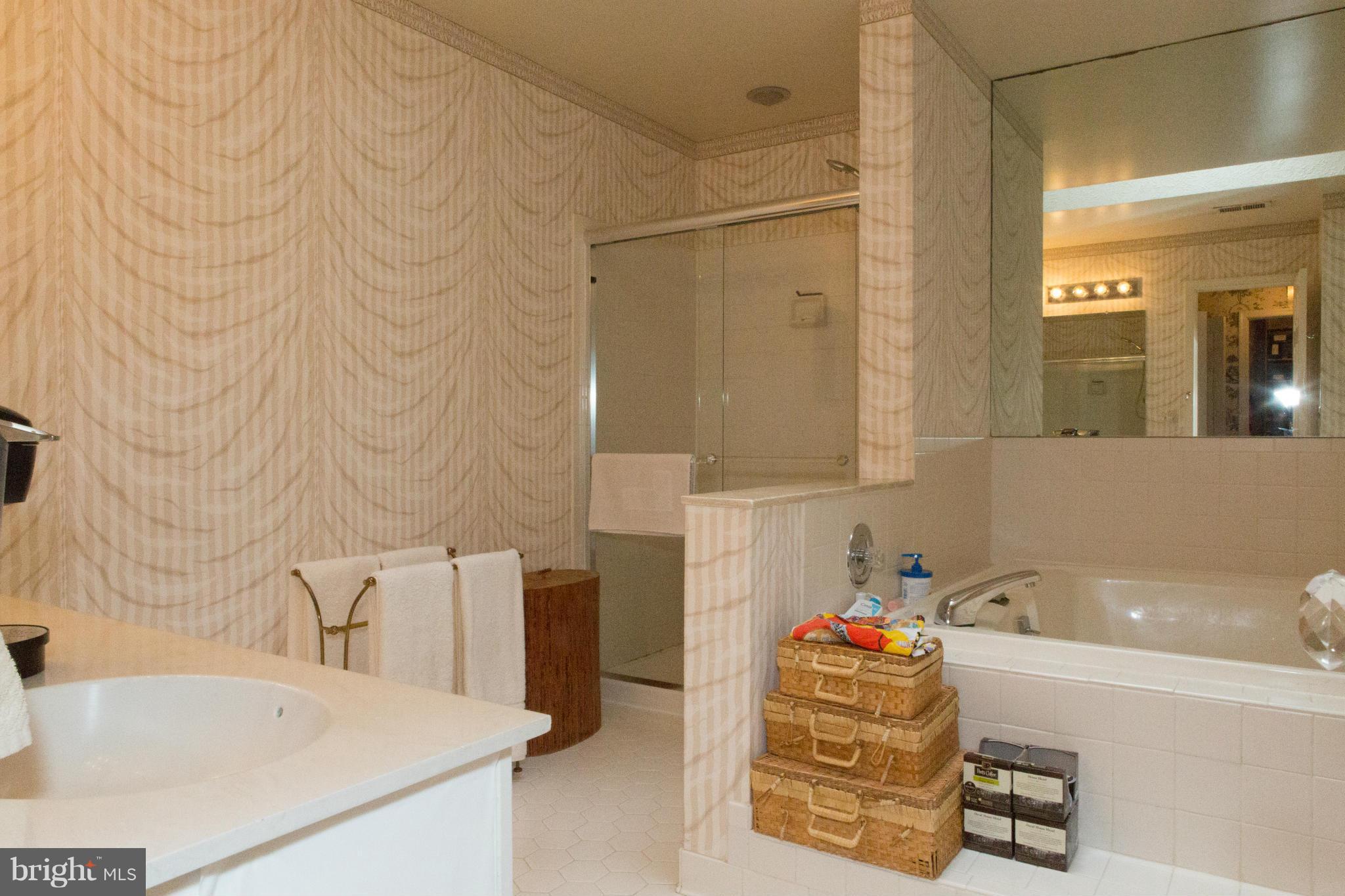 7804 Brickyard Road Potomac, MD 20854 - Photo 14 of 21 Bath (Master)